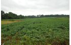 Property photo 2 - 97+/- Acres in 5 Tracts