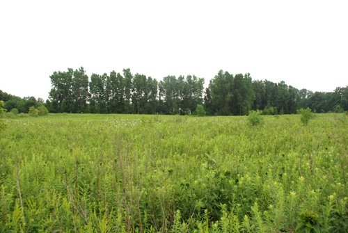 Property photo 5 - 97+/- Acres in 5 Tracts