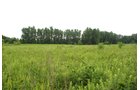 Property photo 5 - 97+/- Acres in 5 Tracts
