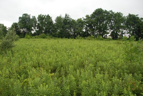 Property photo 28 - 97+/- Acres in 5 Tracts