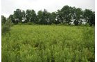 Property photo 28 - 97+/- Acres in 5 Tracts