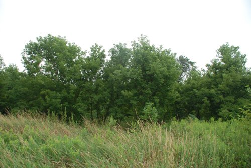 Property photo 18 - 97+/- Acres in 5 Tracts