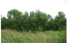 Property photo 18 - 97+/- Acres in 5 Tracts