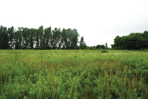 Property photo 23 - 97+/- Acres in 5 Tracts