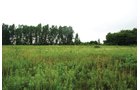 Property photo 23 - 97+/- Acres in 5 Tracts