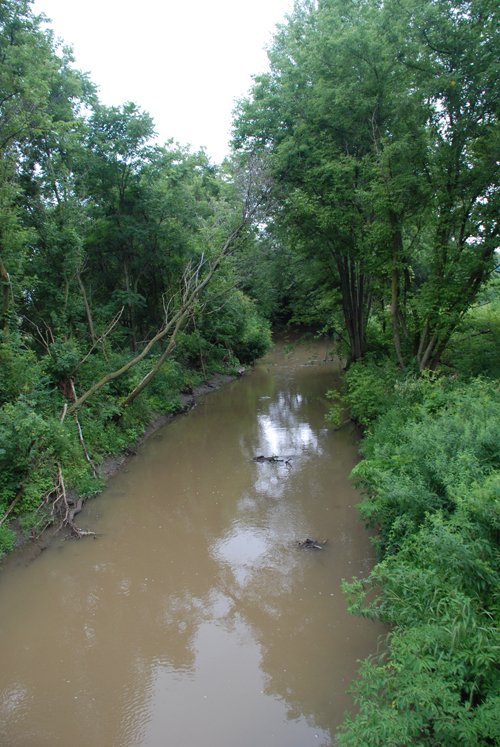 Property photo 15 - 97+/- Acres in 5 Tracts