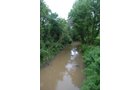 Property photo 15 - 97+/- Acres in 5 Tracts