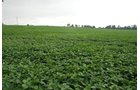 Property photo 4 - 97+/- Acres in 5 Tracts