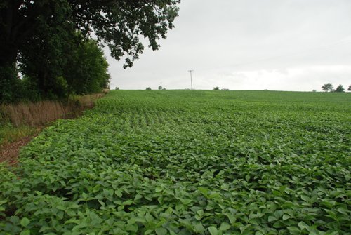 Property photo 29 - 97+/- Acres in 5 Tracts