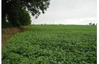 Property photo 29 - 97+/- Acres in 5 Tracts