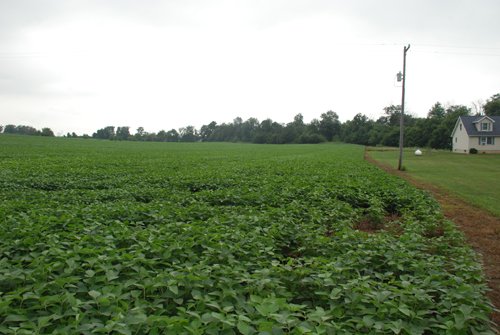 Property photo 27 - 97+/- Acres in 5 Tracts
