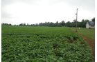 Property photo 27 - 97+/- Acres in 5 Tracts