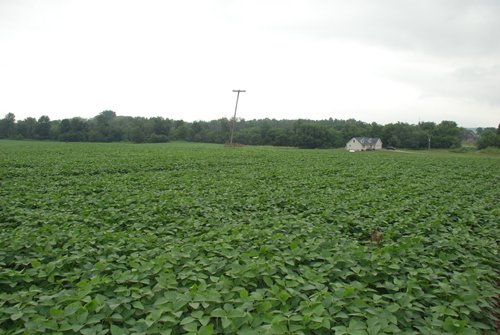 Property photo 3 - 97+/- Acres in 5 Tracts