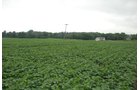 Property photo 3 - 97+/- Acres in 5 Tracts