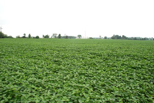 Property photo 22 - 97+/- Acres in 5 Tracts
