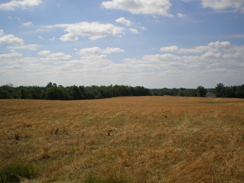 Property photo 5 - 385+/- Contiguous Acres Offered in 7 Tracts