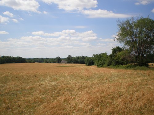 Property photo 57 - 385+/- Contiguous Acres Offered in 7 Tracts