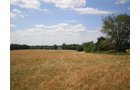 Property photo 57 - 385+/- Contiguous Acres Offered in 7 Tracts