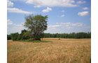 Property photo 43 - 385+/- Contiguous Acres Offered in 7 Tracts