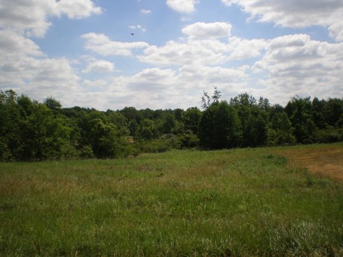 Property photo 42 - 385+/- Contiguous Acres Offered in 7 Tracts