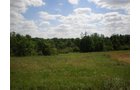 Property photo 42 - 385+/- Contiguous Acres Offered in 7 Tracts
