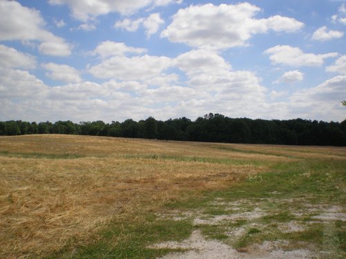 Property photo 53 - 385+/- Contiguous Acres Offered in 7 Tracts