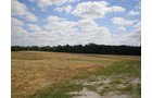 Property photo 53 - 385+/- Contiguous Acres Offered in 7 Tracts