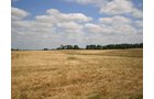 Property photo 41 - 385+/- Contiguous Acres Offered in 7 Tracts