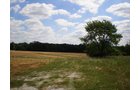 Property photo 66 - 385+/- Contiguous Acres Offered in 7 Tracts