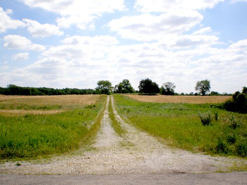 Property photo 46 - 385+/- Contiguous Acres Offered in 7 Tracts