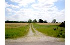 Property photo 46 - 385+/- Contiguous Acres Offered in 7 Tracts