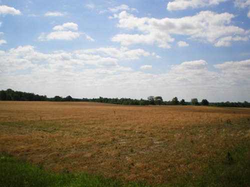Property photo 25 - 385+/- Contiguous Acres Offered in 7 Tracts