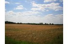 Property photo 25 - 385+/- Contiguous Acres Offered in 7 Tracts