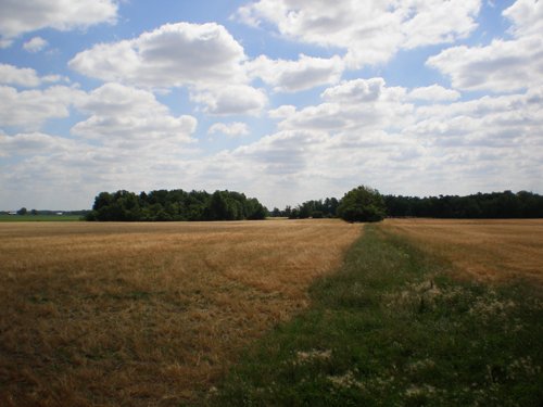 Property photo 2 - 385+/- Contiguous Acres Offered in 7 Tracts