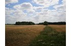 Property photo 2 - 385+/- Contiguous Acres Offered in 7 Tracts