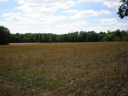 Property photo 48 - 385+/- Contiguous Acres Offered in 7 Tracts