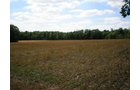 Property photo 48 - 385+/- Contiguous Acres Offered in 7 Tracts
