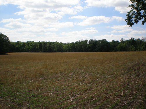 Property photo 24 - 385+/- Contiguous Acres Offered in 7 Tracts