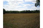 Property photo 24 - 385+/- Contiguous Acres Offered in 7 Tracts