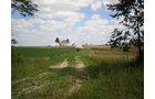 Property photo 15 - 385+/- Contiguous Acres Offered in 7 Tracts