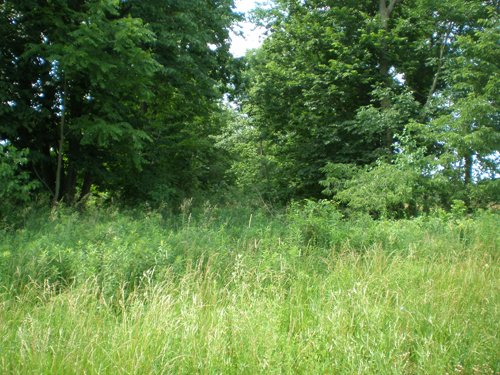 Property photo 36 - 385+/- Contiguous Acres Offered in 7 Tracts