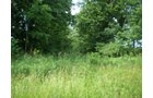 Property photo 36 - 385+/- Contiguous Acres Offered in 7 Tracts