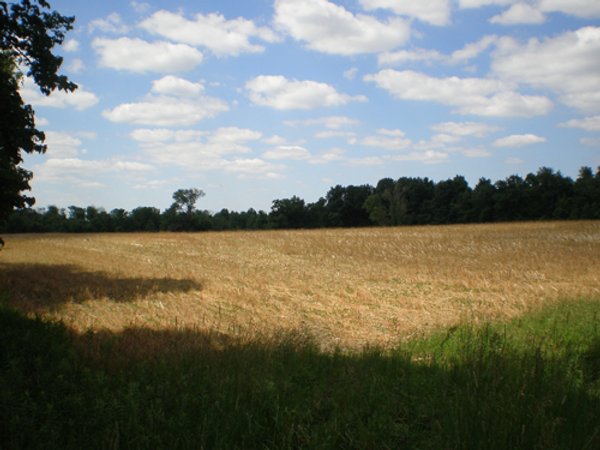385+/- Contiguous Acres Offered in 7 Tracts