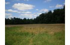Property photo 81 - 385+/- Contiguous Acres Offered in 7 Tracts