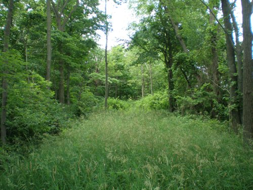 Property photo 38 - 385+/- Contiguous Acres Offered in 7 Tracts