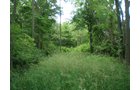 Property photo 38 - 385+/- Contiguous Acres Offered in 7 Tracts