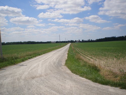Property photo 17 - 385+/- Contiguous Acres Offered in 7 Tracts