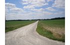 Property photo 17 - 385+/- Contiguous Acres Offered in 7 Tracts