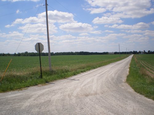 Property photo 4 - 385+/- Contiguous Acres Offered in 7 Tracts