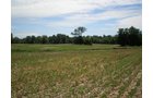 Property photo 73 - 385+/- Contiguous Acres Offered in 7 Tracts